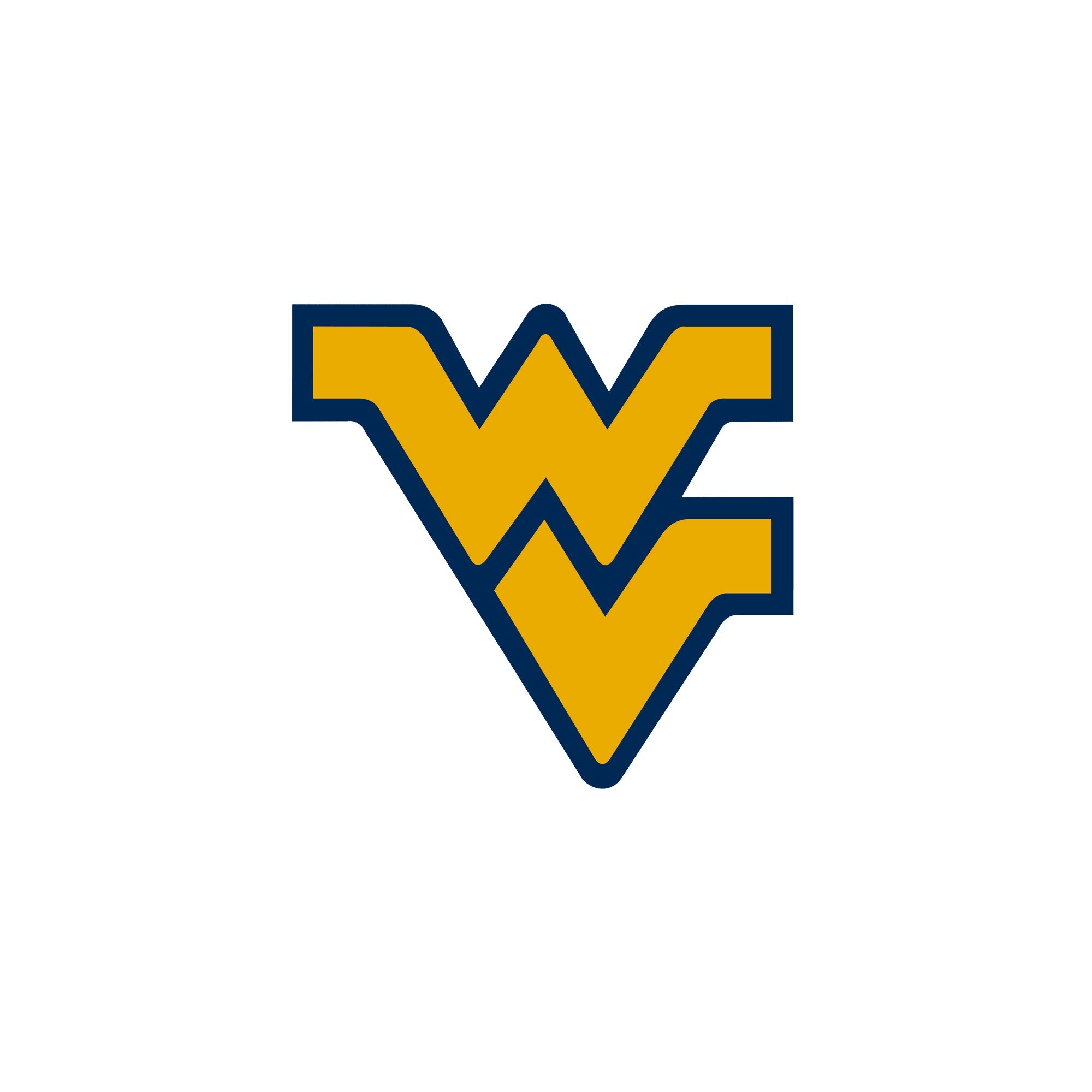 Vintage West Virginia Mountaineers Snapback Hat Cap Navy 90s Signatures NCAA