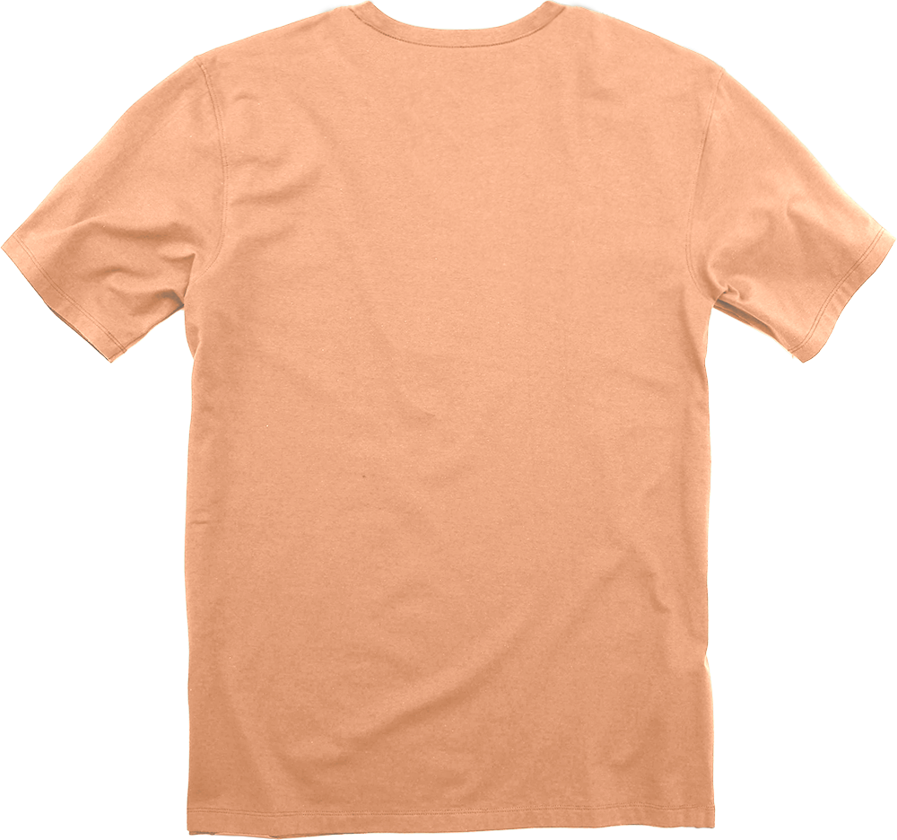 10200-PFZ-back | Color: Peach Fuzz