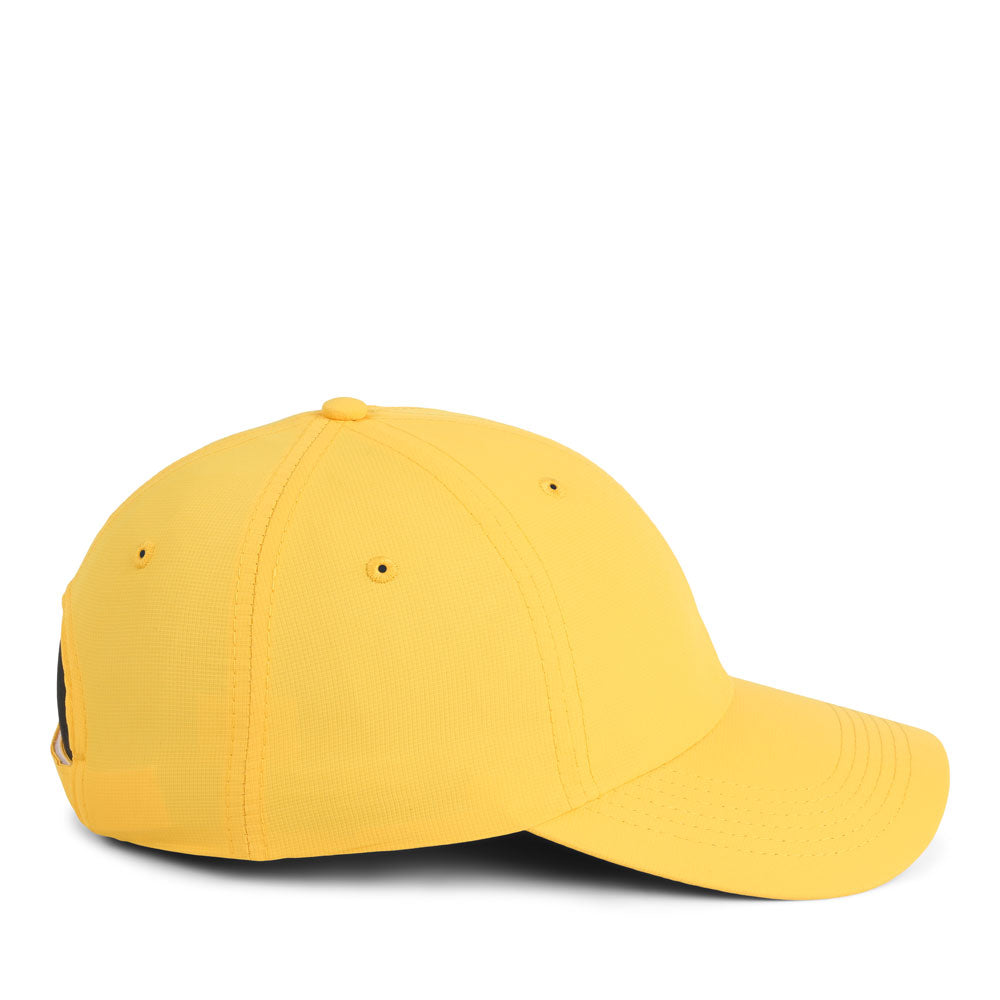 X210P-BXX-3 | Color: Gold