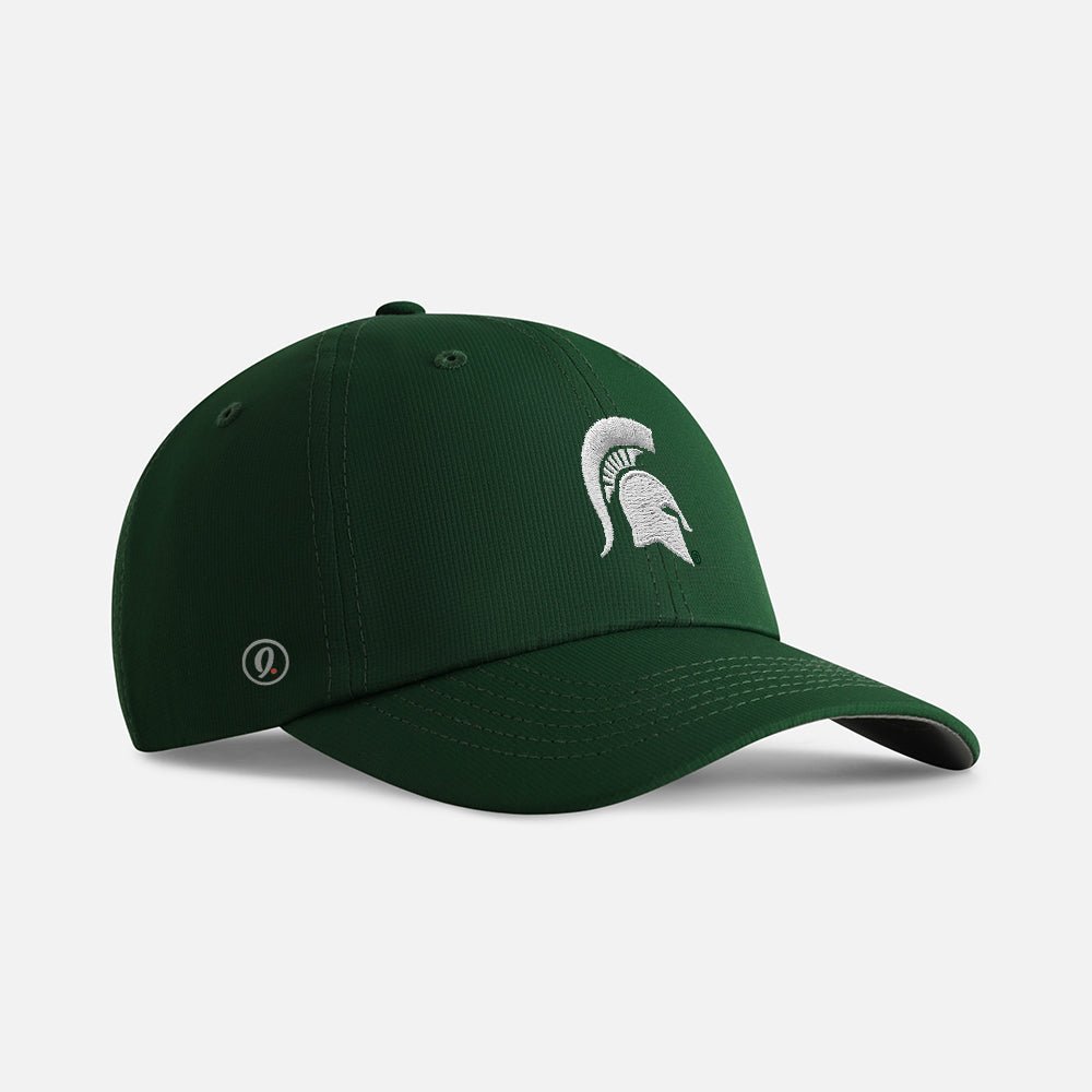 MSU 