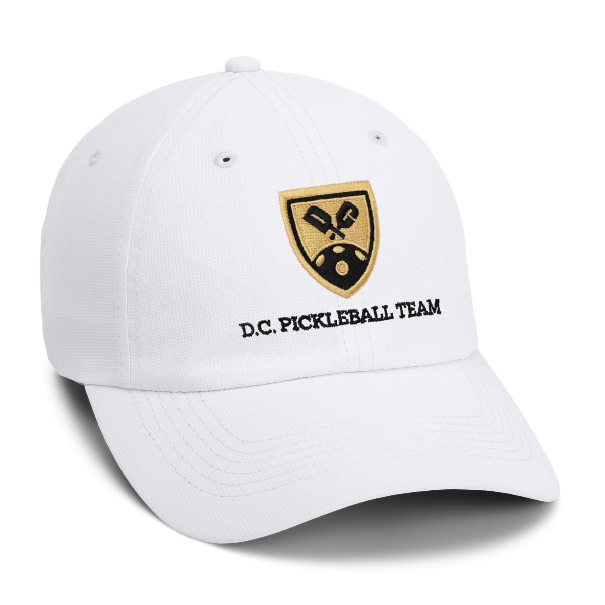 Washington dc hot sale hat