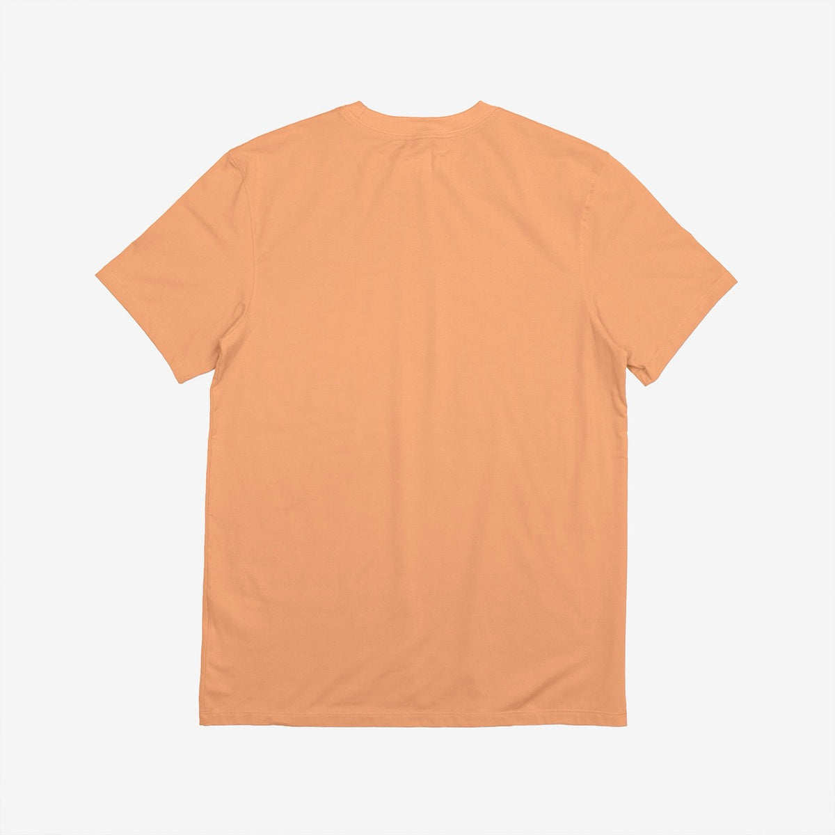 10200-PFZ-Back | Color: Peach Fuzz