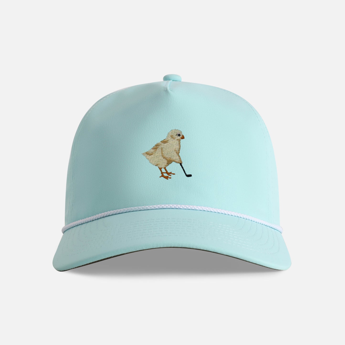 | Color Robins Egg / White