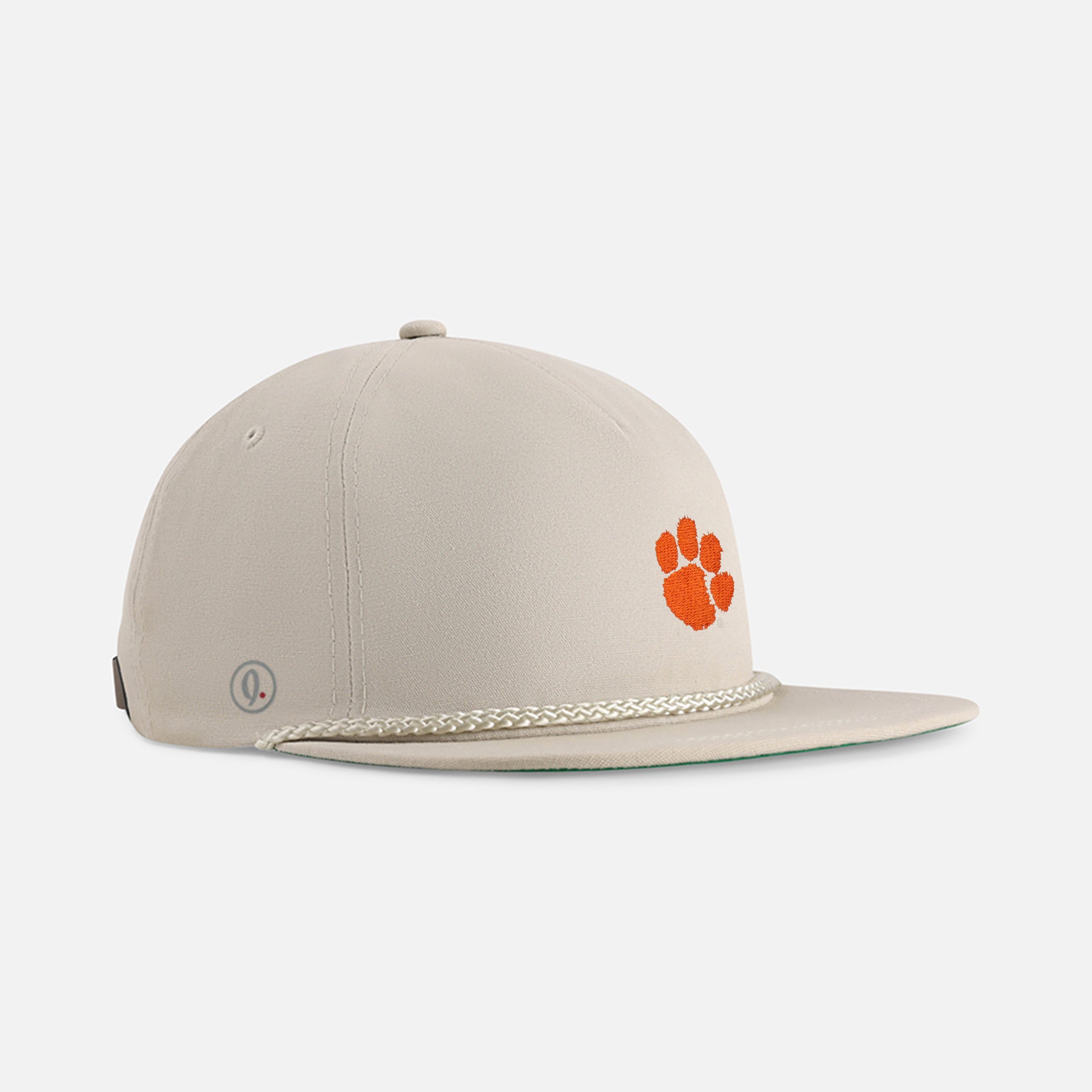 Clemson University 