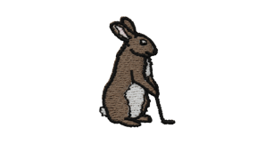 Hare Ball