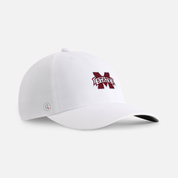 Mississippi State University 