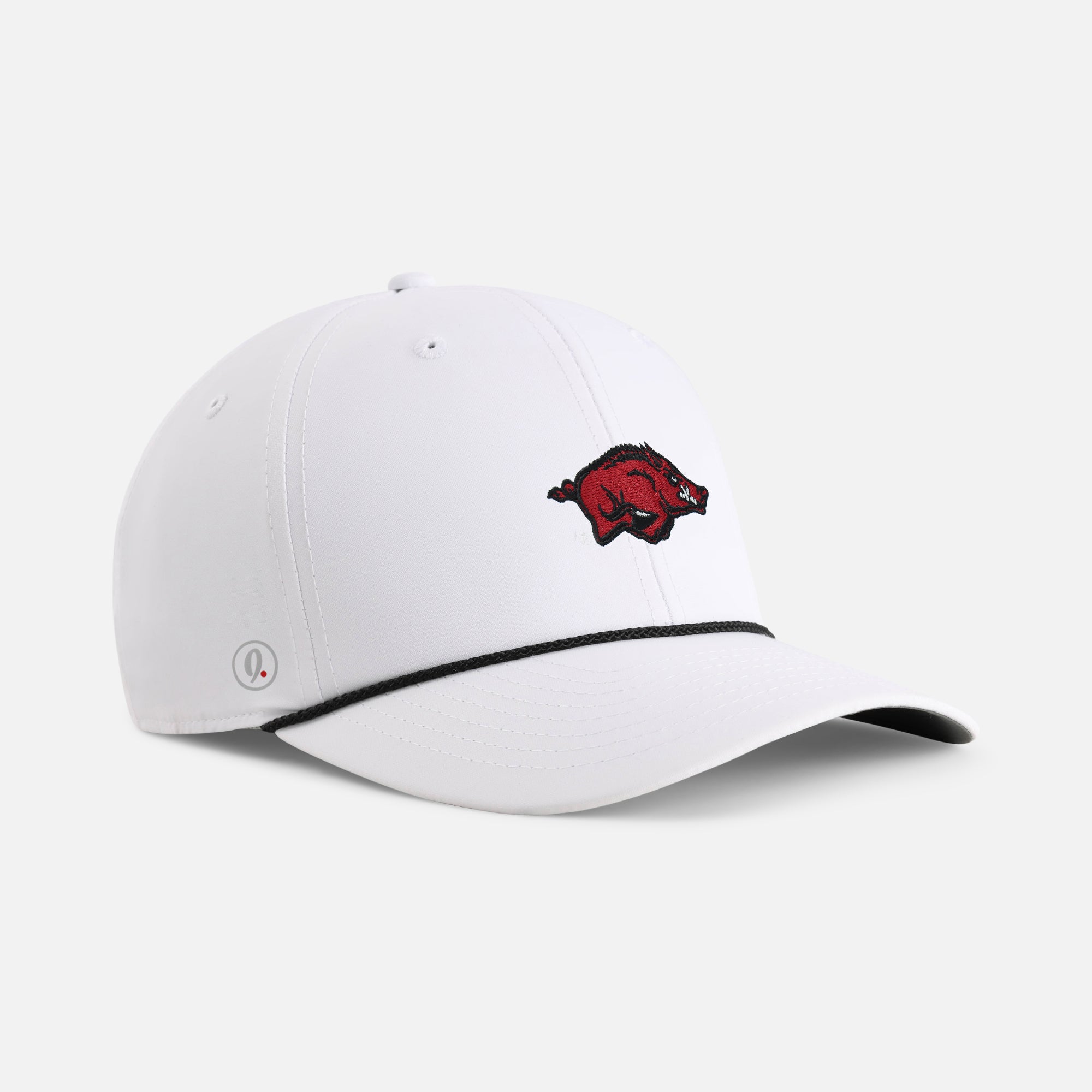 University of Arkansas 