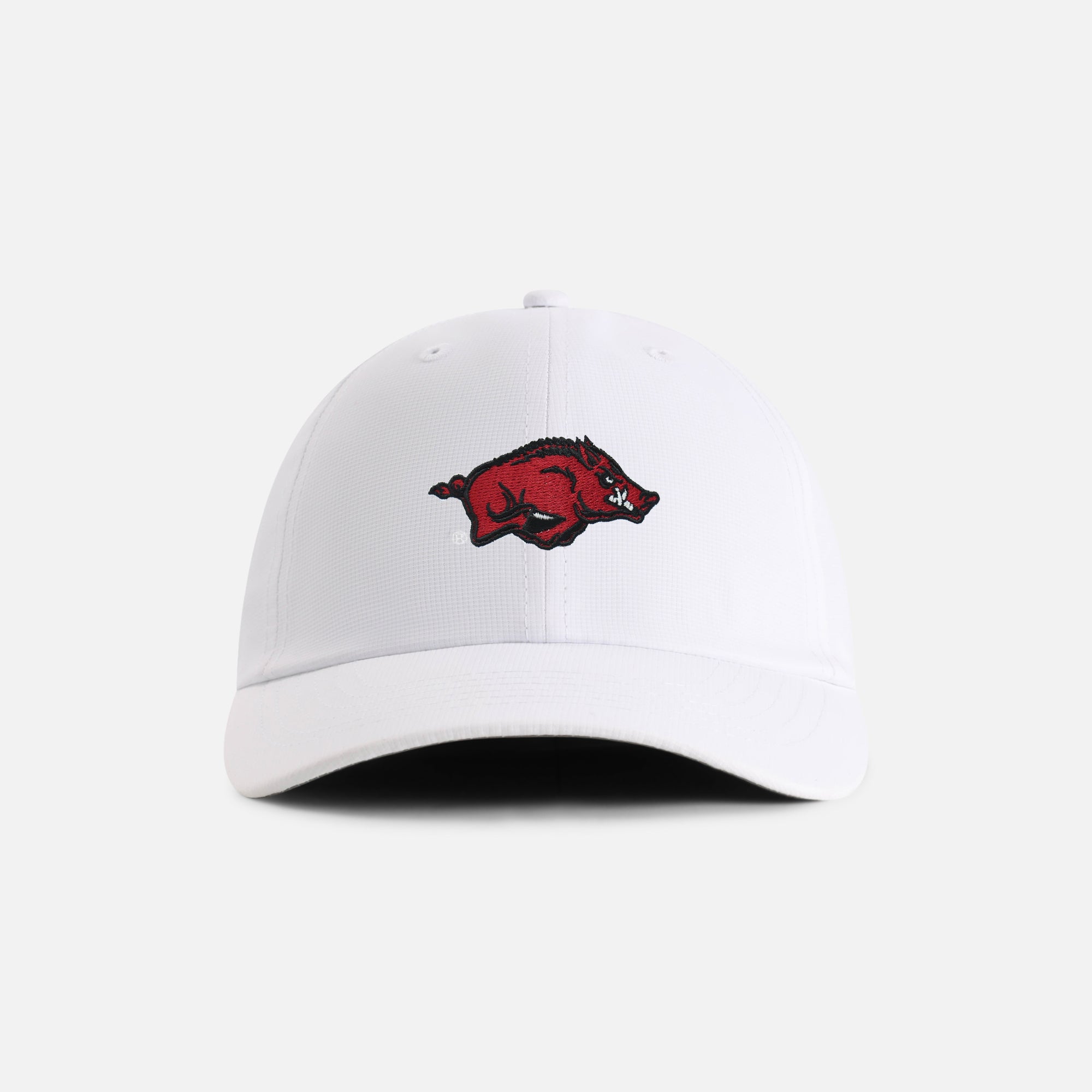 University of Arkansas 