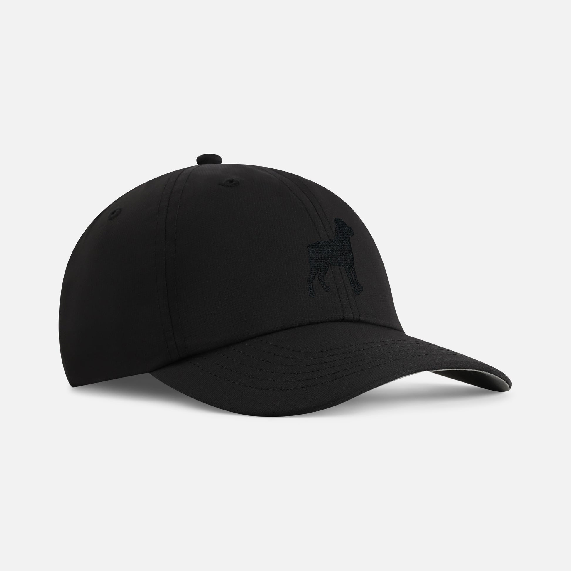 | Color: Black