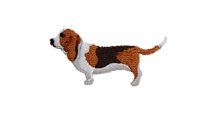 Basset Hound